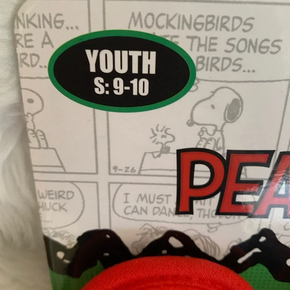 Peanuts snoopy youth